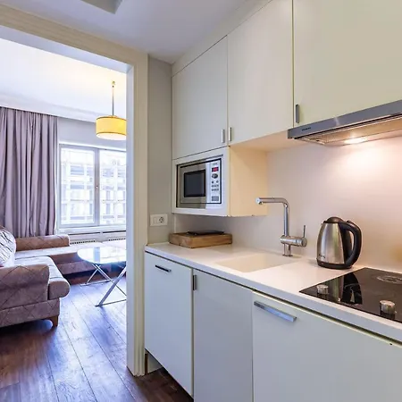 Bright And Cozy Flat Near Taksim Square In Sisli Apartmán Istanbulská provincie